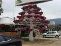 img_1683-113304.jpg